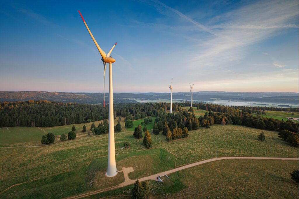 Trois ans après la fin de la construction du parc éolien de Sainte-Croix (VD), la nature a repris une bonne partie de ses droits aux abords des éoliennes.